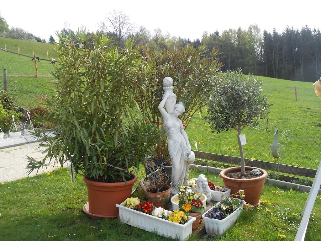 Privatzimmer Haus Gschweitl Semriach Екстер'єр фото